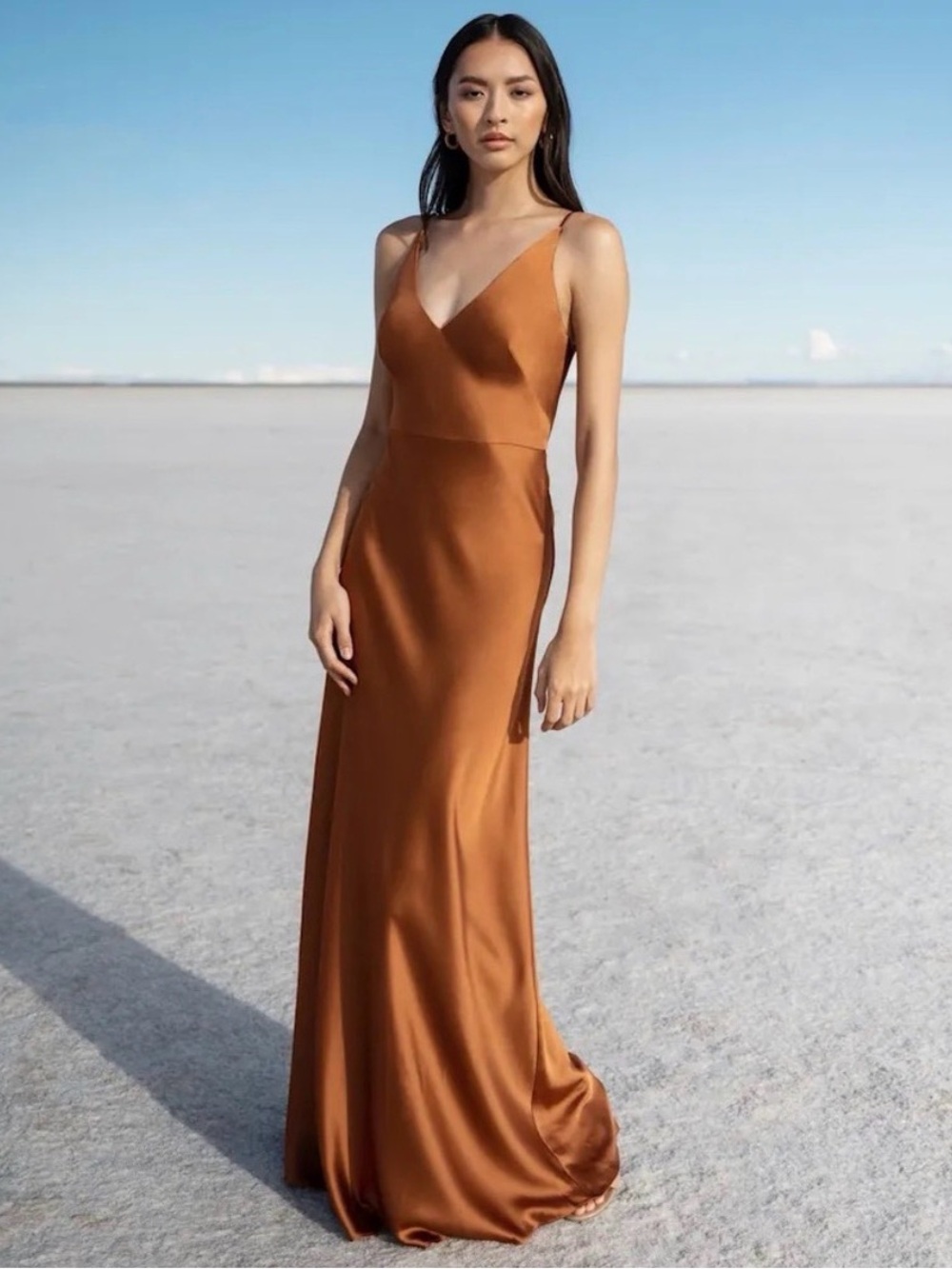 Jenny Yoo Luxe Satin V-Neck Bridesmaid Dress size 6 RUST